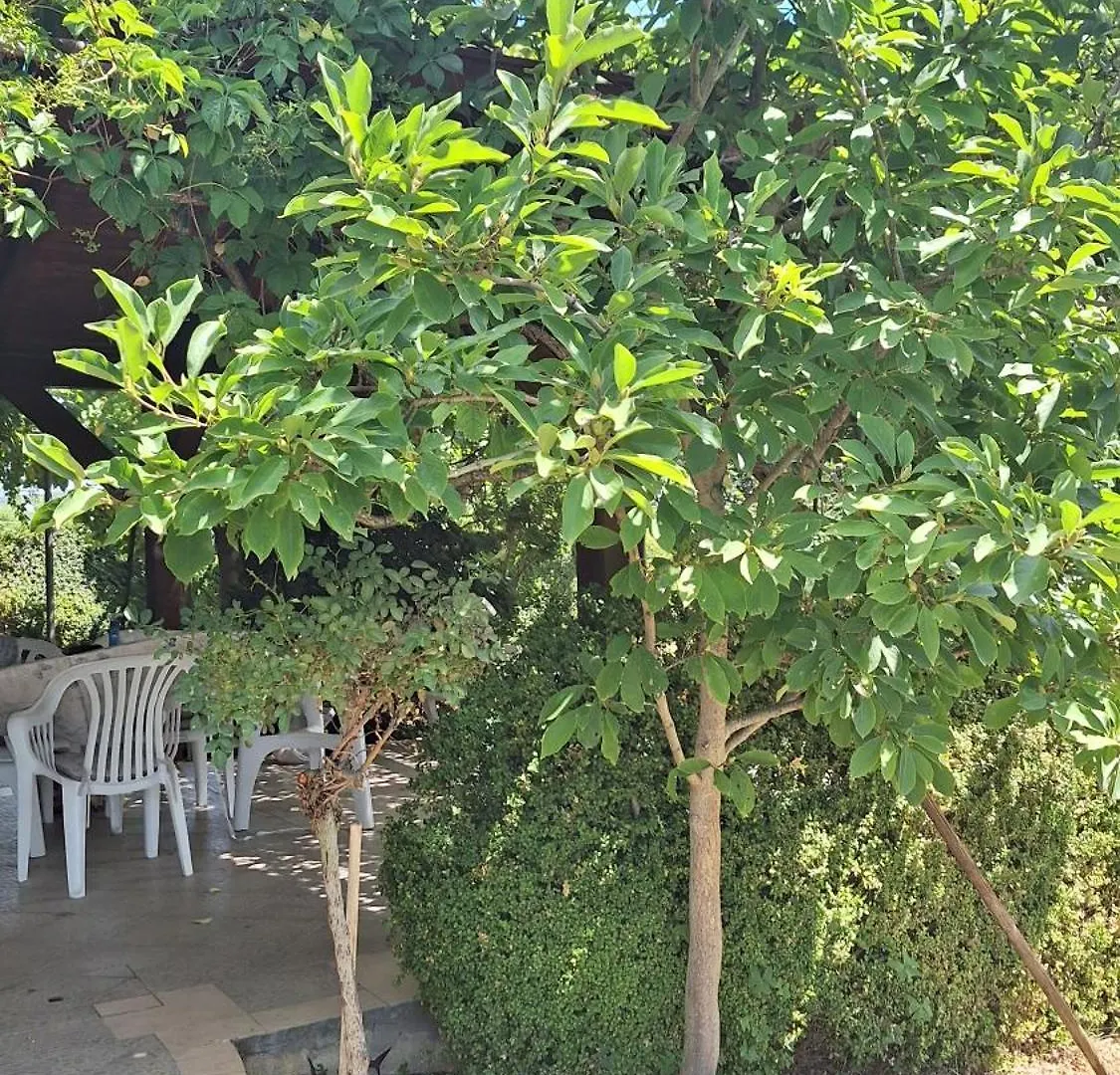 Apartman Lucia Ražanac بيت للعطل